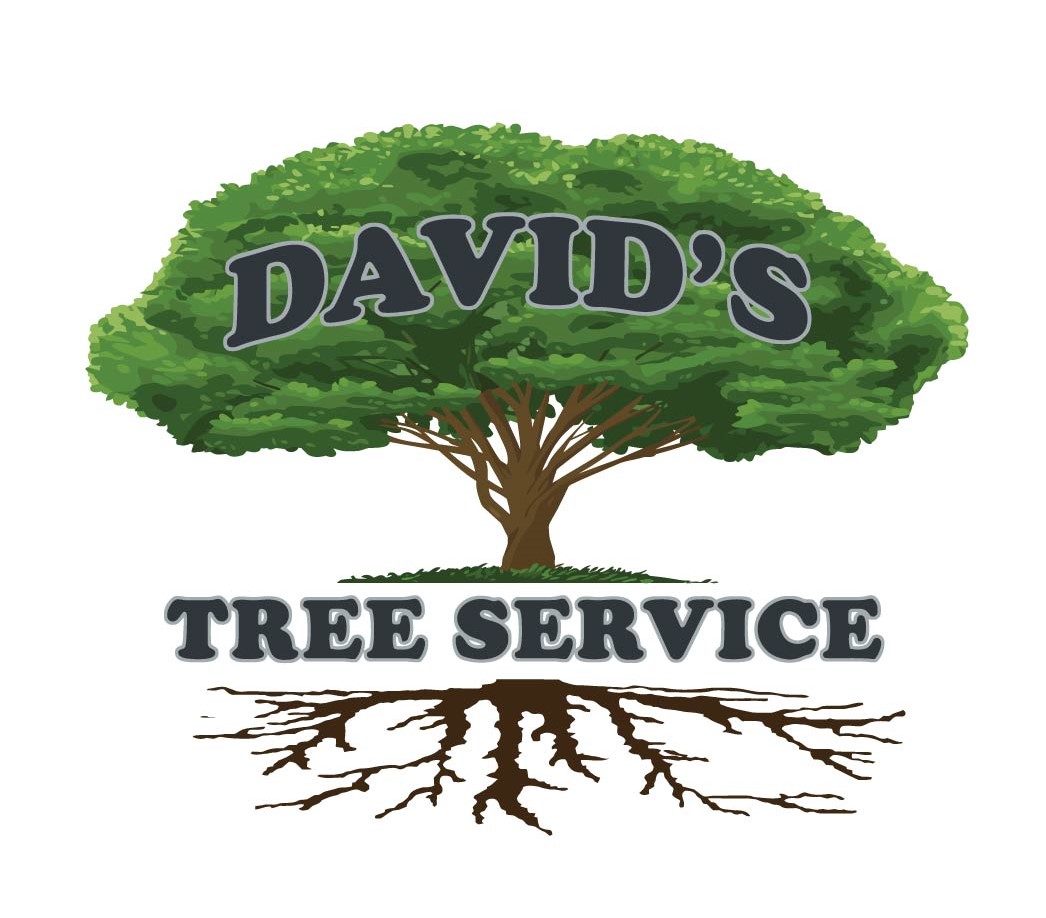 David's Tree Service, Inc.