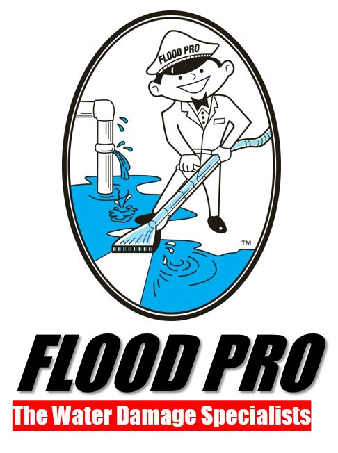 Flood Pro