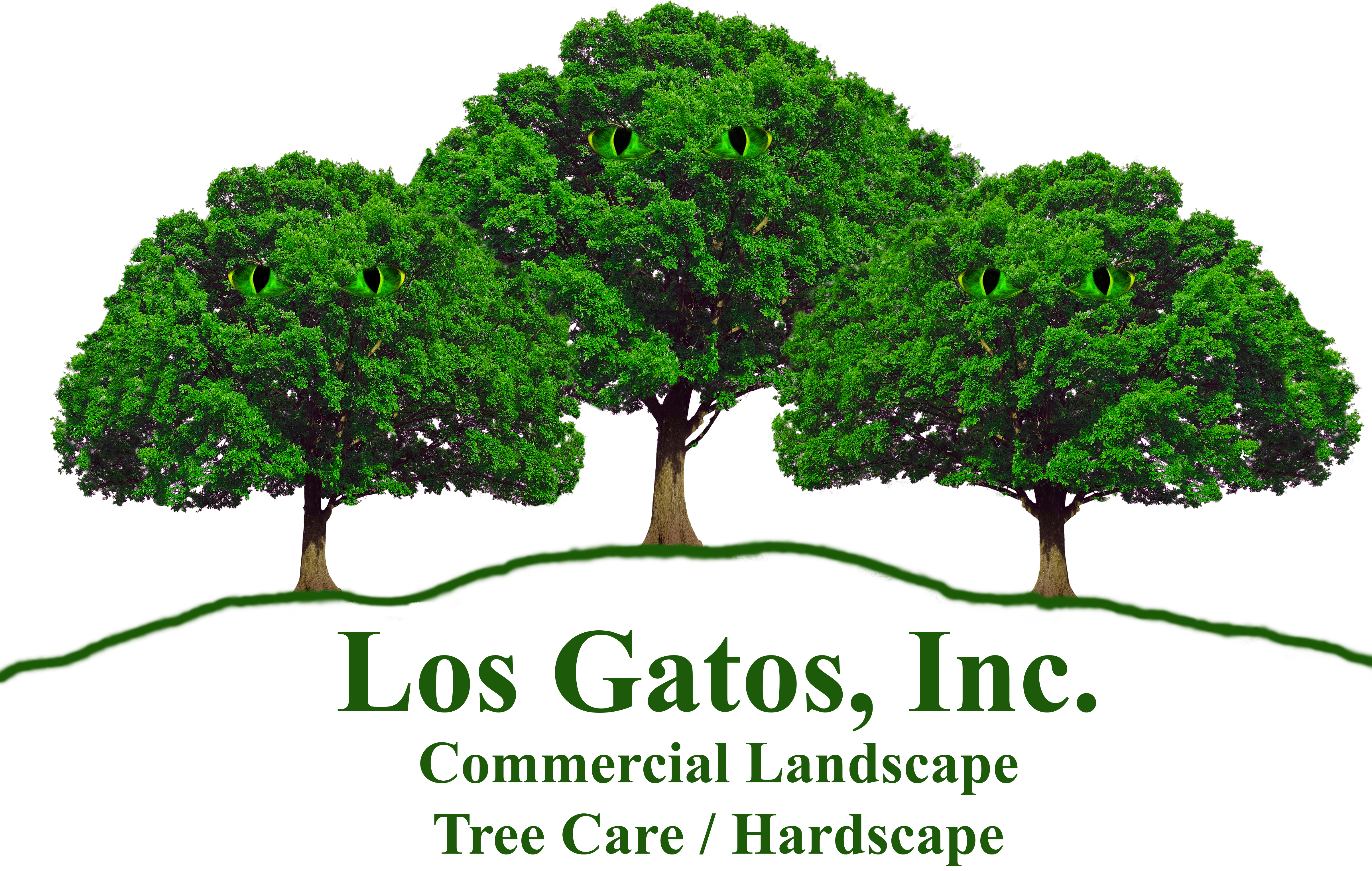 Los Gatos, Inc.