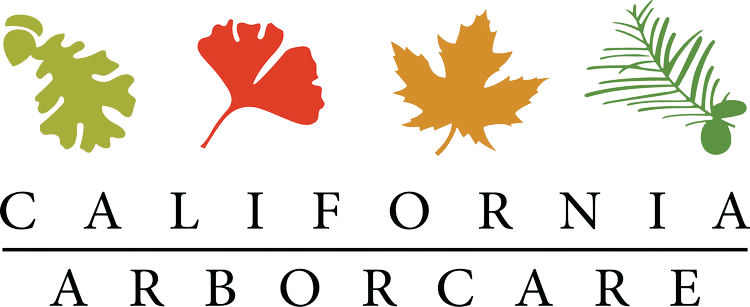 California Arbor Care