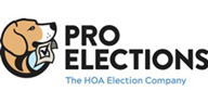 Pro Elections LLC
