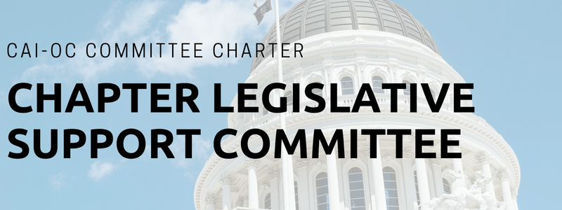 Chapter Legislative Support Committee-rev 2015.pdf
